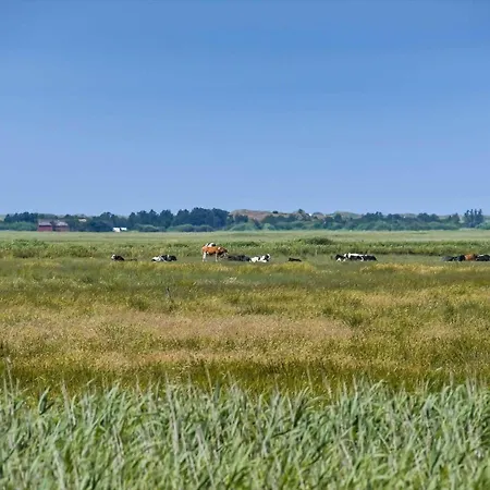 C11523-hemmet-nordmarken-40 Hemmet