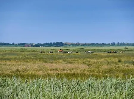 Feriehus C11523-hemmet-nordmarken-40