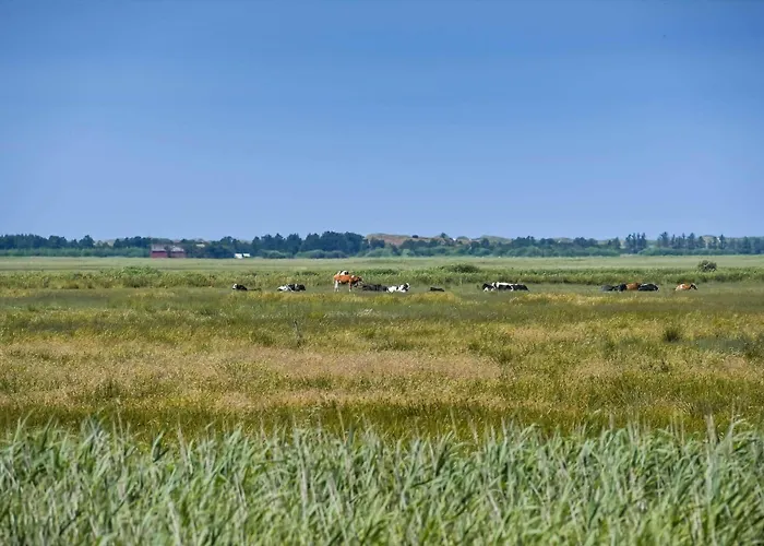 C11523-hemmet-nordmarken-40 Hemmet